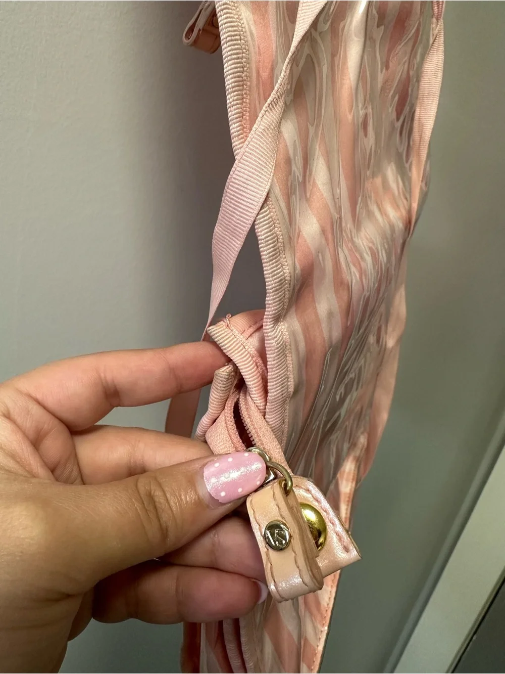 Victoria's Secret Pink Striped Hanging Organizer with Clear Pockets
